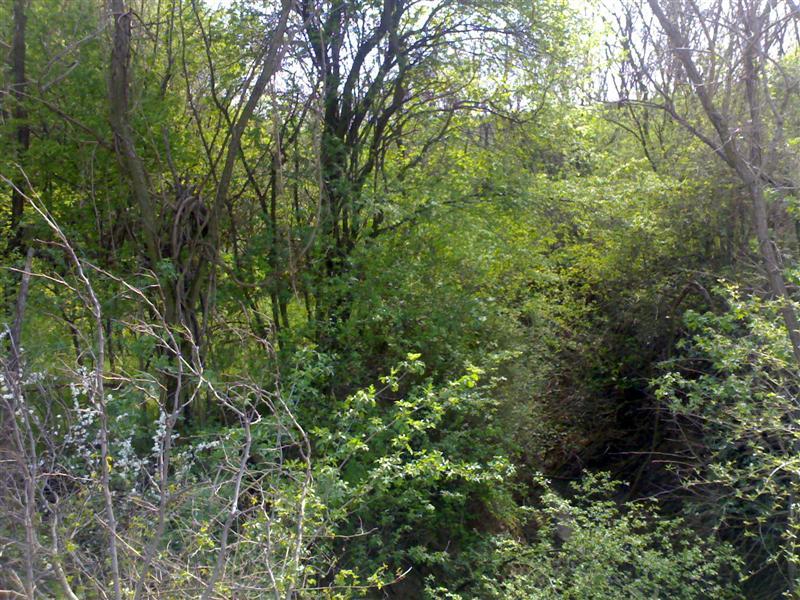 200704091692 .jpg